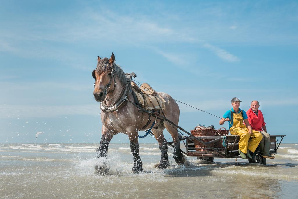 Jeugdherberg De Peerdevisser Oostduinkerke Εξωτερικό φωτογραφία